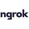 ngrok Inc. logo