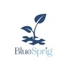 BlueSprig logo